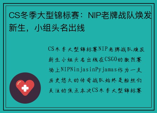 CS冬季大型锦标赛：NIP老牌战队焕发新生，小组头名出线